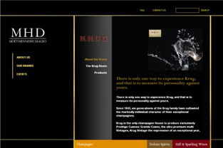 網(wǎng)站不斷發(fā)展新功能,同時也為閣下在業(yè)務上帶來不少方便,包括全天侯展示商品及服務 和客人的互動聯(lián)系 節(jié)省工作時間及人手等